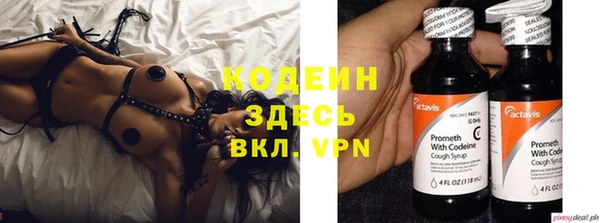не бодяженный Гусев