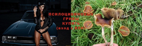 сатива Дмитровск