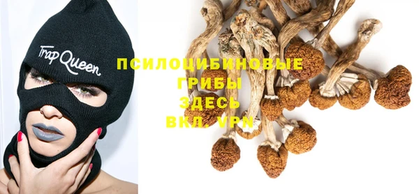 не бодяженный Гусев