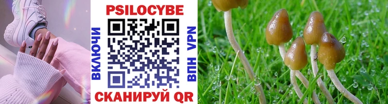 Псилоцибиновые грибы Cubensis  Купить где  Невьянск 